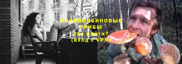 тгк Алексин
