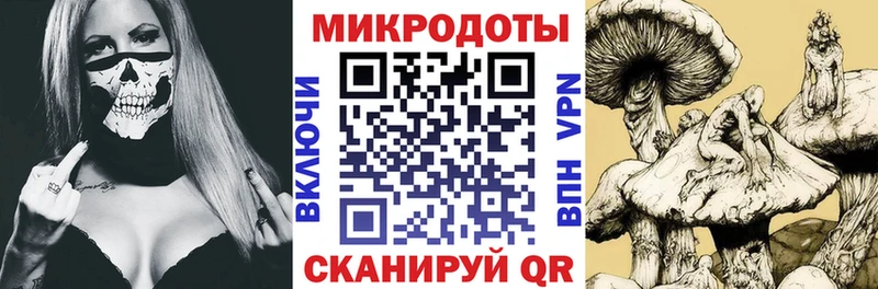 Псилоцибиновые грибы прущие грибы KRAKEN Спасск-Рязанский