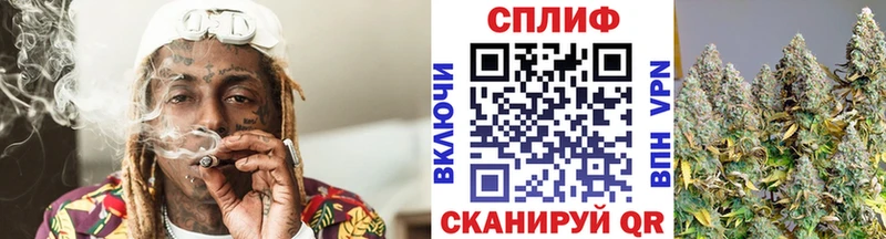 Каннабис гибрид  Спасск-Рязанский 